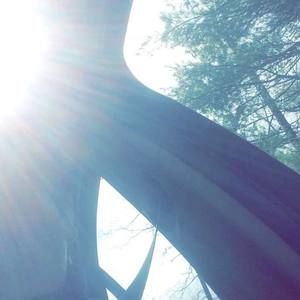 Meet your Posher, Phillip